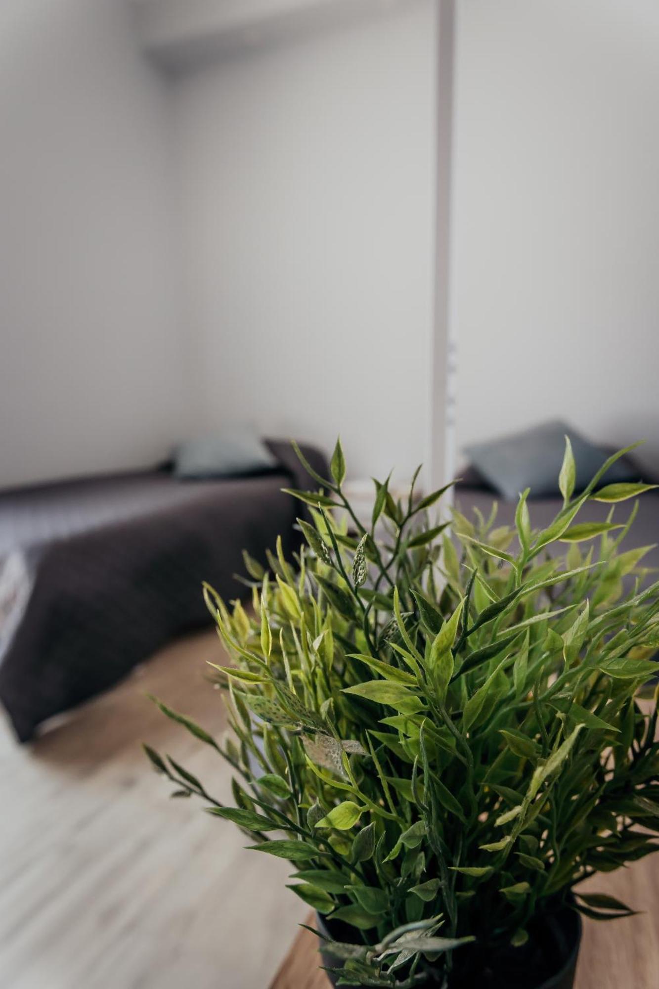 Fcoairporthouse Apartment Fiumicino Ngoại thất bức ảnh